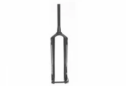 Fourche Rigide Massi SL Carbon 29'' Disc 15x100mm -Suspensions VTT vendre unnamed file 451