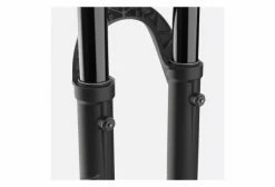 Fourche Fox Racing Shox 36 Float Performance Elite 29'' | Grip 2 | Boost 15QRx110mm | Déport 44 | Noir 2023 -Suspensions VTT vendre unnamed file 767